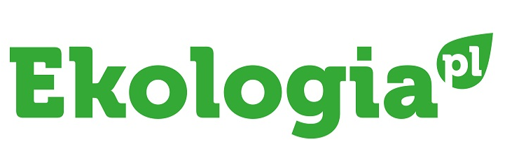 Depilacja laserowa w Laserhouse – jak skutecznie i bezpiecznie pozbyć się owłosienia?